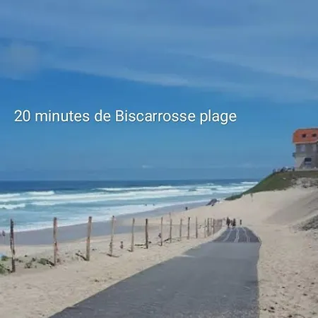 Entre Foret Et * Сангине