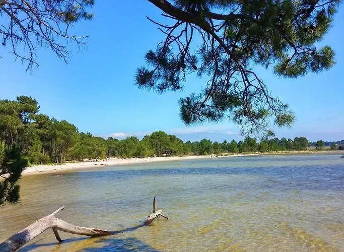 Entre Foret Et סנגווינה