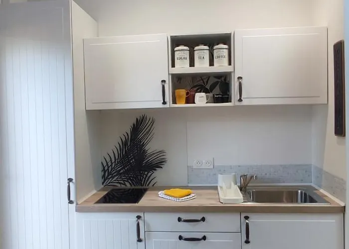 Entre Foret Et סנגווינה