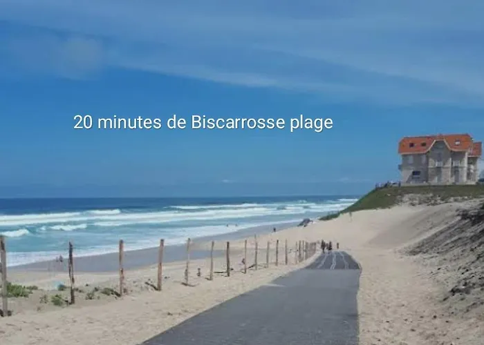 Entre Foret Et * סנגווינה